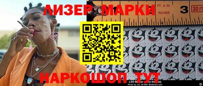 тгк Кингисепп
