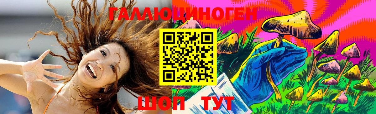 дарнет шоп  Вход с VPN  Киселёвск  Галлюциногенные грибы MAGIC MUSHROOMS 